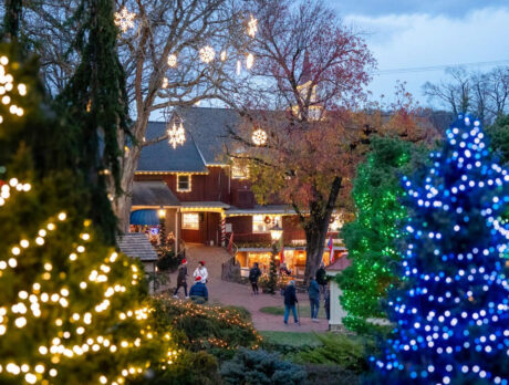 Christmas trees decorated with blue, green and white lights frame a walkway at Peddler's Village, where visitors explore the festive holiday display at dusk.