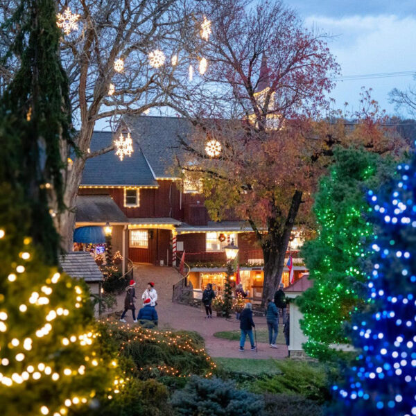 Christmas trees decorated with blue, green and white lights frame a walkway at Peddler's Village, where visitors explore the festive holiday display at dusk.
