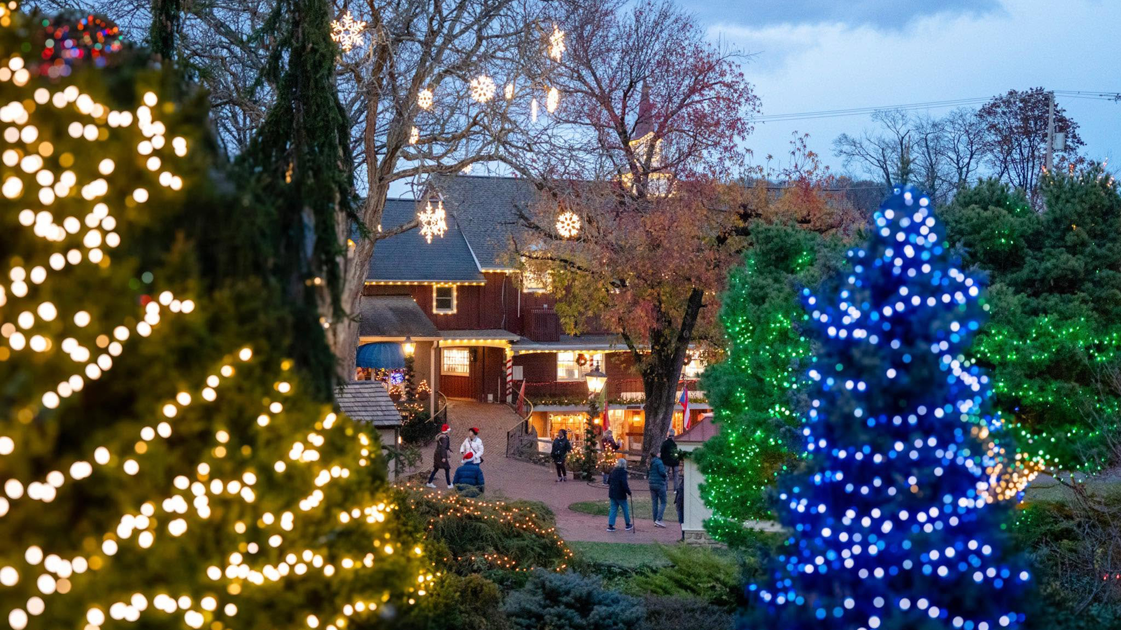 Christmas trees decorated with blue, green and white lights frame a walkway at Peddler's Village, where visitors explore the festive holiday display at dusk.