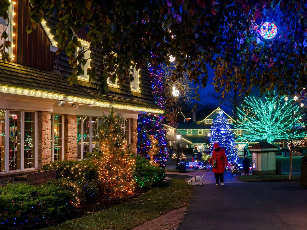 A visitor walks a small white dog along a pathway at Peddler's Village, surrounded by illuminated trees, colorful holiday lights and decorated buildings at night.