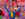 Dancers dressed in colorful blue and purple costumes with gold scarves wave bright pink and orange streamers during Philadelphia's 6abc Dunkin' Thanksgiving Day Parade.